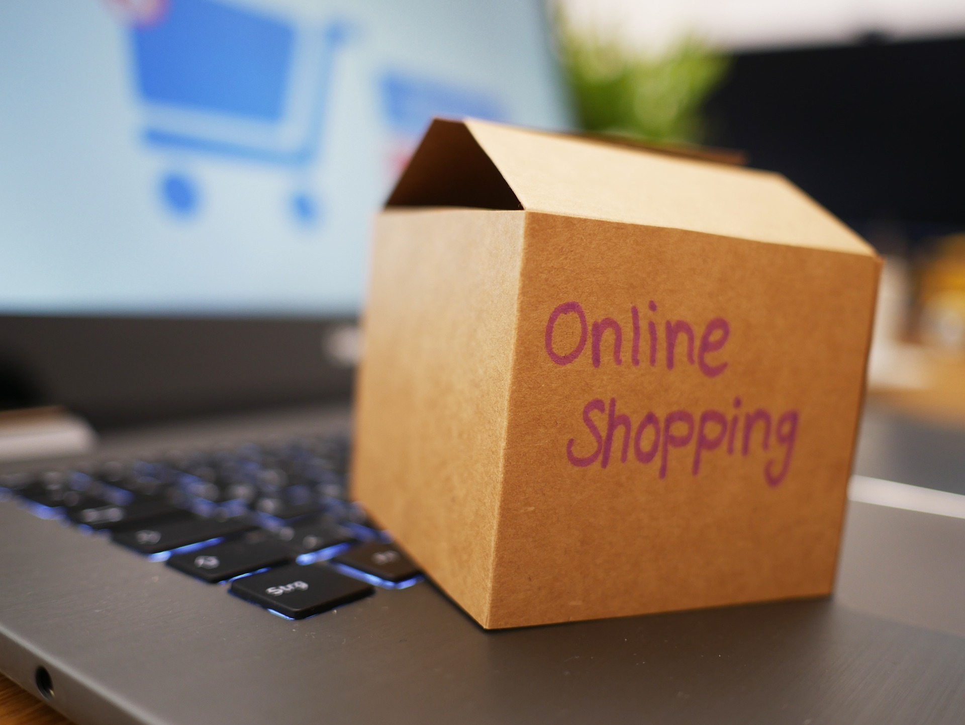 Plateforme e-commerce